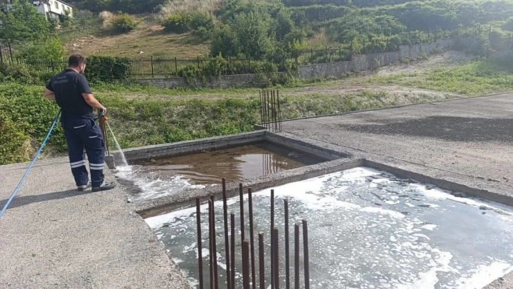 Larva Çalışması Gerçekleştirildi