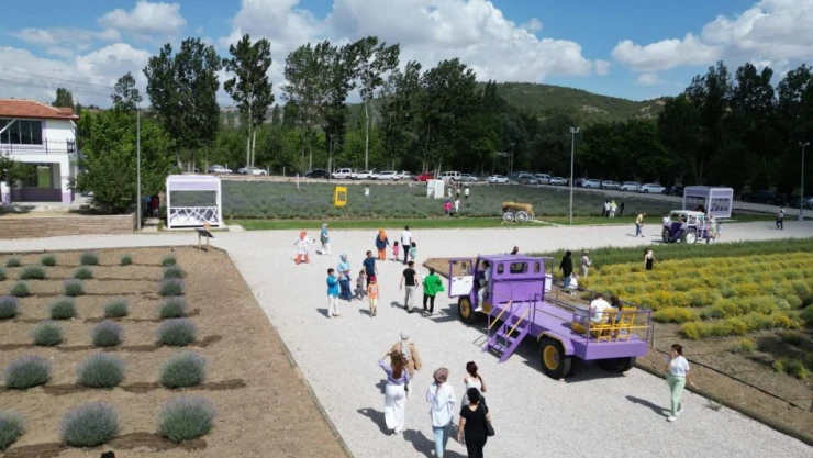 Lavanta Bahçesi Şehrin Gözde Mekanı Oldu