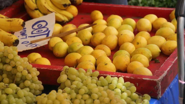 Limon Çiçek Açmadı Fiyatlar Fırladı