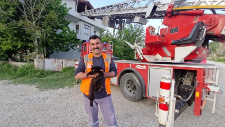 Mahsur Kalan Kediyi İtfaiye Kurtardı