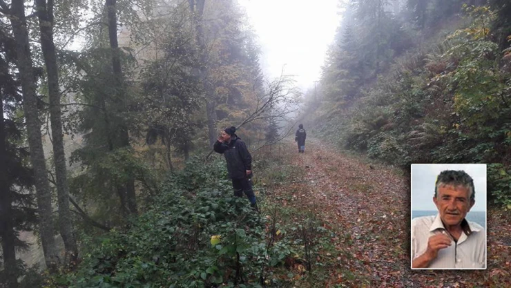 Mantar toplarken kayboldu