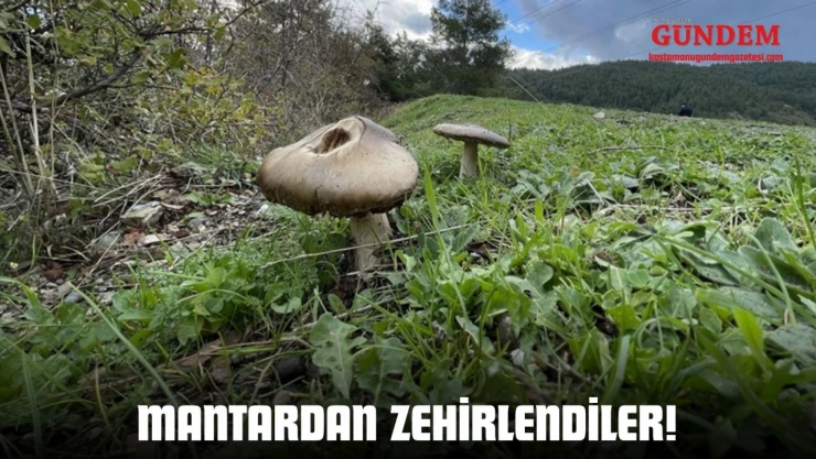 Mantardan Zehirlendiler!