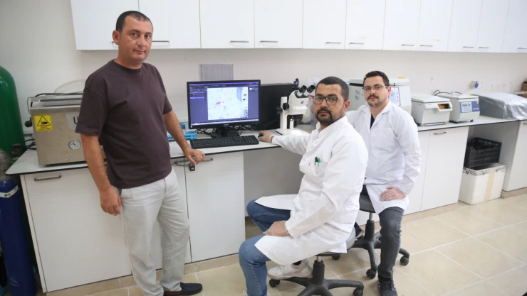 Marmara Denizindeki Tehlikenin Boyutunu Ölçmek İçin Çalışıyorlar