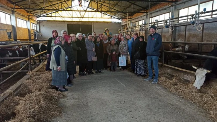 Mescit Köyünde Süt Hijyeni Kursu Verildi