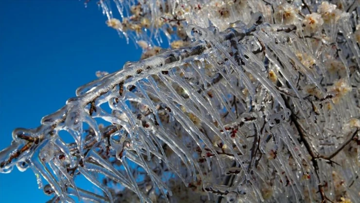 Meteorolojiden Zirai Don Uyarısı
