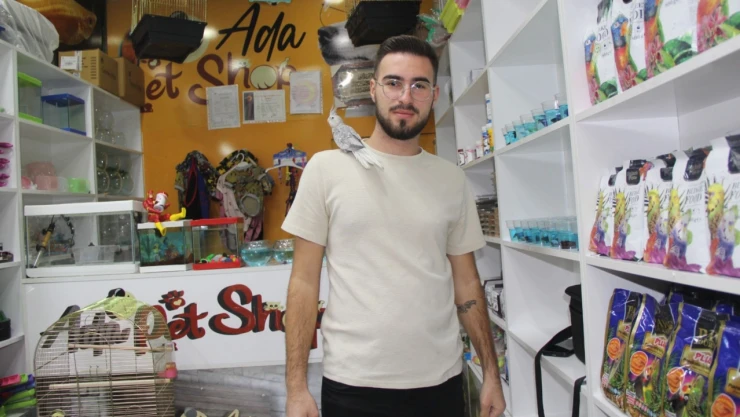 Mevsim Geçişleri Evcil Hayvanları Etkiliyor