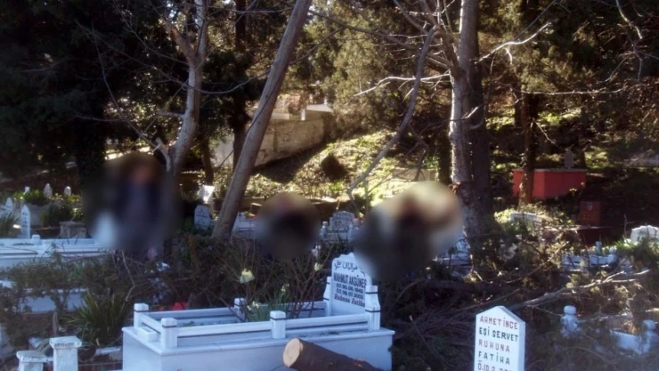 Mezarlık'ta Defineci Operasyonu: 6 Gözaltı