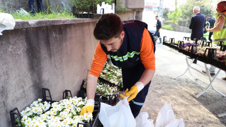 Mezarlıkta Çiçek Takdim Edildi