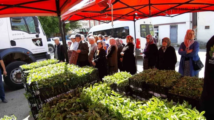 Mudurnu'da 108 Bin Fide Dağıtıldı