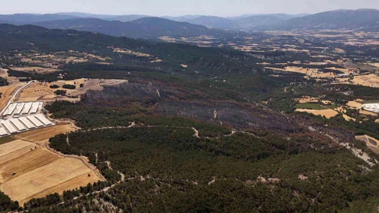 Mudurnu'daki Orman Yangınında 66 Hektar Alan Kül Oldu