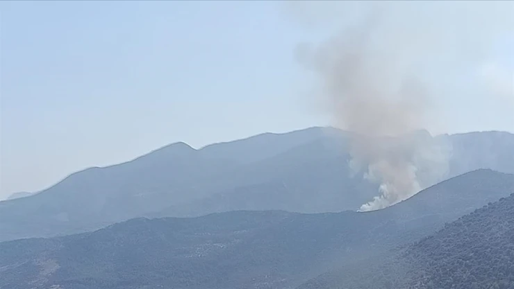 Muğla'da Ormanlık Alanda Yangın Çıktı
