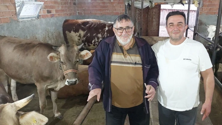 Muharrem Dinç 'Kekikle beslenen hayvanlarımızın eti lezzetli oluyor'