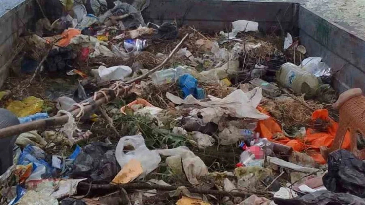 Muhtar, Biriken Çöpleri Tek Tek Topladı