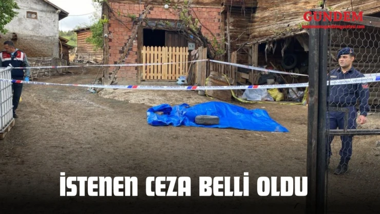 Muhtarı Öldüren Sanık İçin İstenen Ceza Belli Oldu