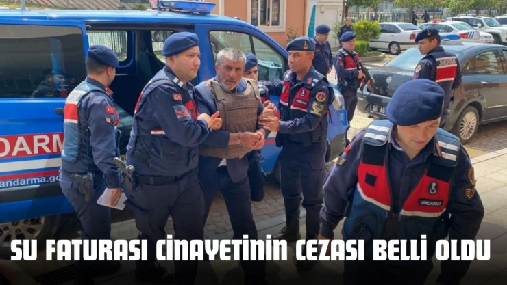 Muhtarı Öldürmüştü, Cezası Belli Oldu