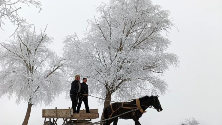 O İlçe -15,5'i Gördü
