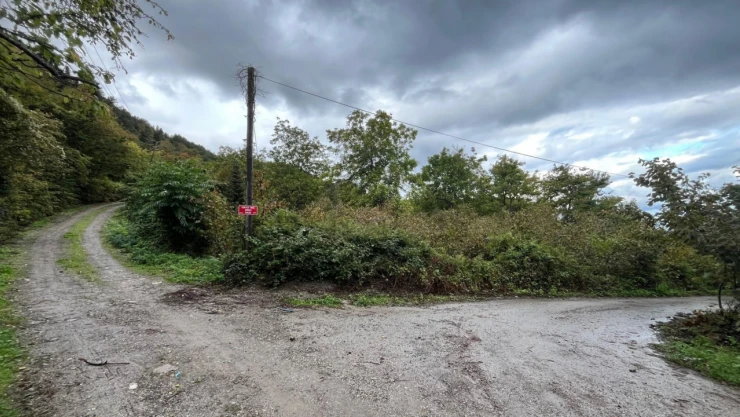 O İlçede Doğalgaz Çalışması Nedeniyle Yol Kapatıldı