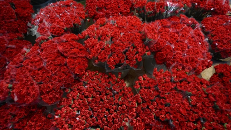 O İlden 30 Ülkeye 75 Milyon Dal Çiçek Gönderildi