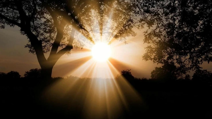 OGM, 5 Yıllık Yol Haritası Hazırladı