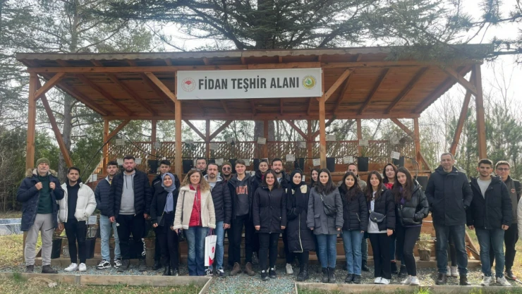 Öğrenciler Daday Fidanlık Şefliğinde Teknik Uygulama Yaptı