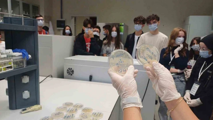 İklim Değişikliğinin Etkileri Matematikle Öğretildi