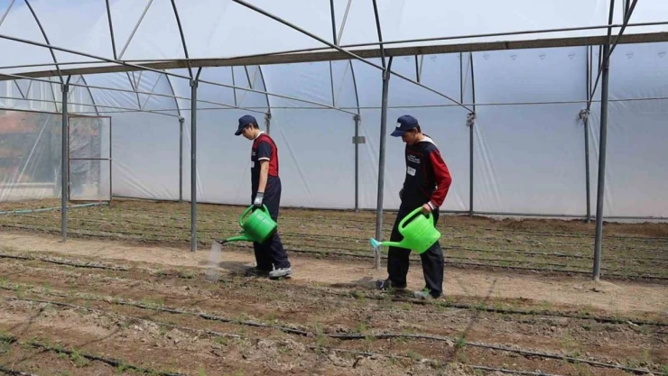 Öğretmen Ve Öğrenciler Kuşkonmaz Yetiştirecek