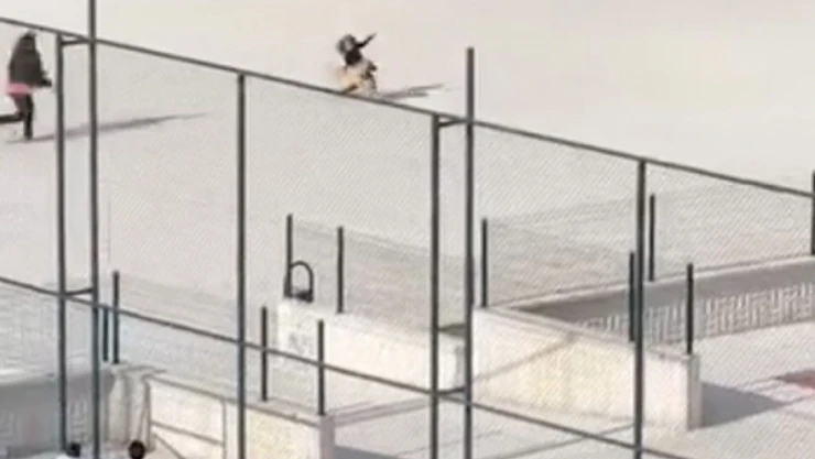 Okul Bahçesine Giren Köpek Çocuklara Büyük Panik Yaşattı