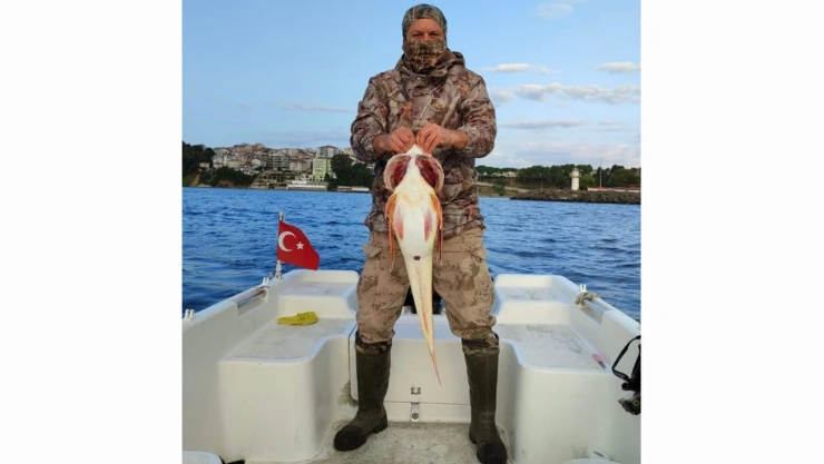 Olta ile 5 kiloluk kırlangıç balığı yakaladı