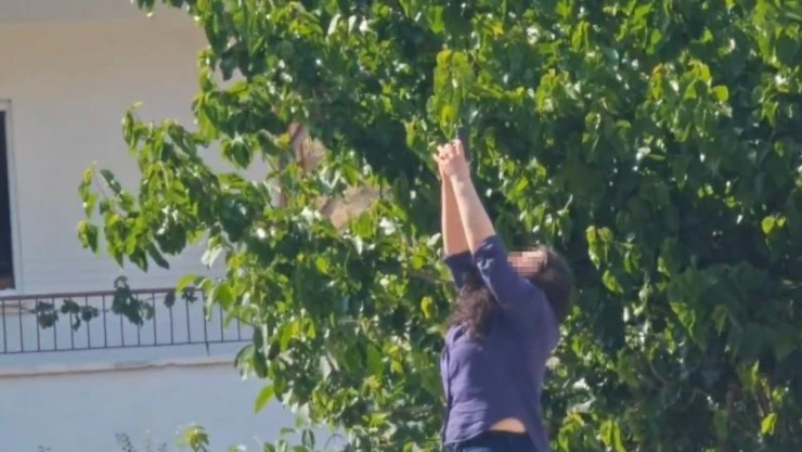 Önce Erkek Arkadaşının Ofisini Kurşunladı, Sonra İntihara Kalkıştı