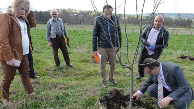 Organik gübre uygulaması yapıldı