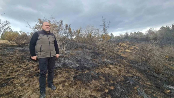 Orman Bölge Müdürü Bayraktaroğlu Çalışmaları İnceledi