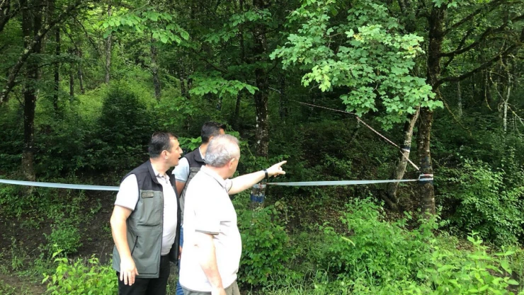 Orman, sıklık bakımlarını inceledi