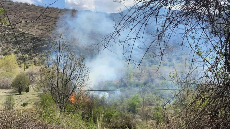 Orman Yangını Korkuttu