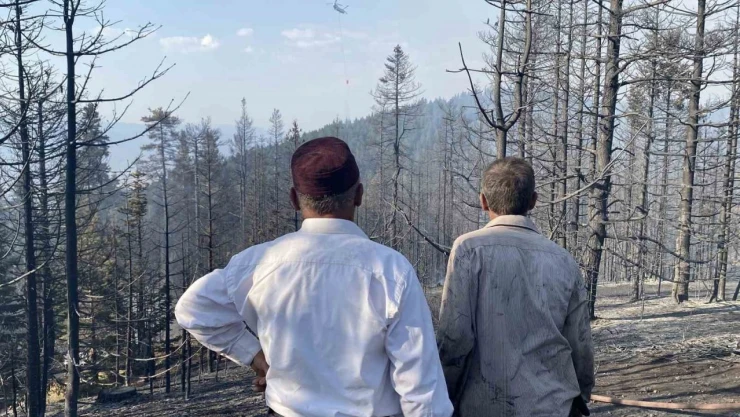 Orman Yangınına Karşı Köylüler Seferber Oldu