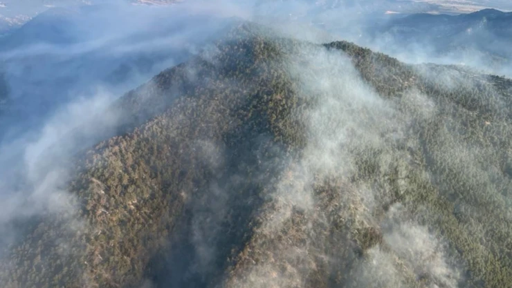 Orman yangınına müdahale devam ediyor