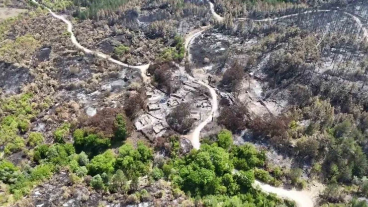 Orman Yangınında Köyün Bir Mahallesi Yok Oldu