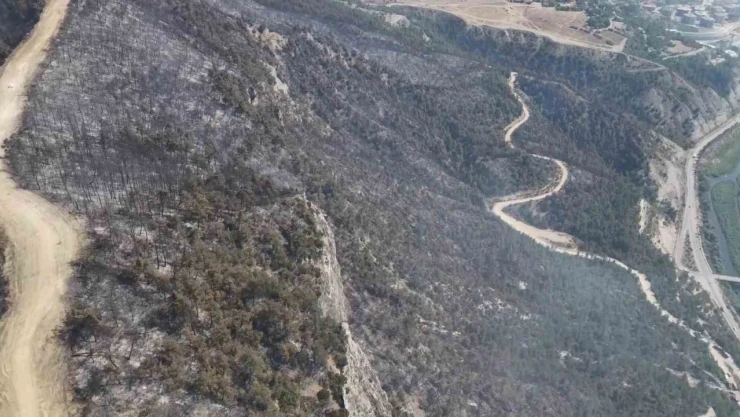 Orman Yangınında Zarar Gören Alanlar Dronla Görüntülendi
