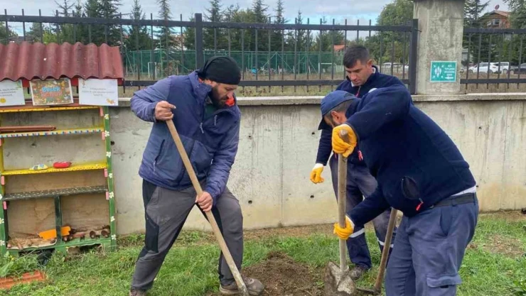 71'inci Fidanını Bolu'da Dikti