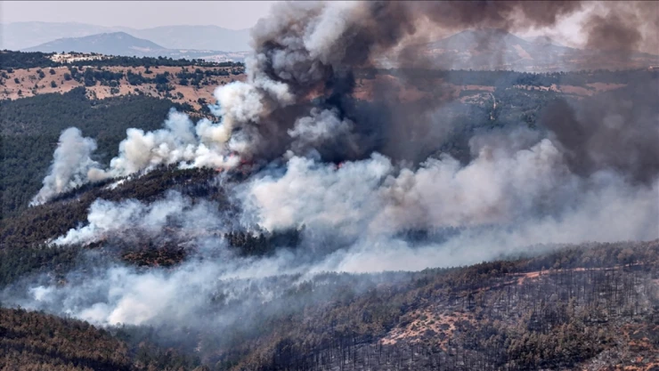 Orman Yangınlarının Yüzde 57'si Orman Dışı Alanlarda Başladı