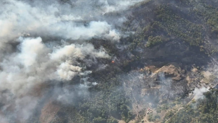 Orman Yangınlarıyla İlgili 3 Şüpheli Tutuklandı