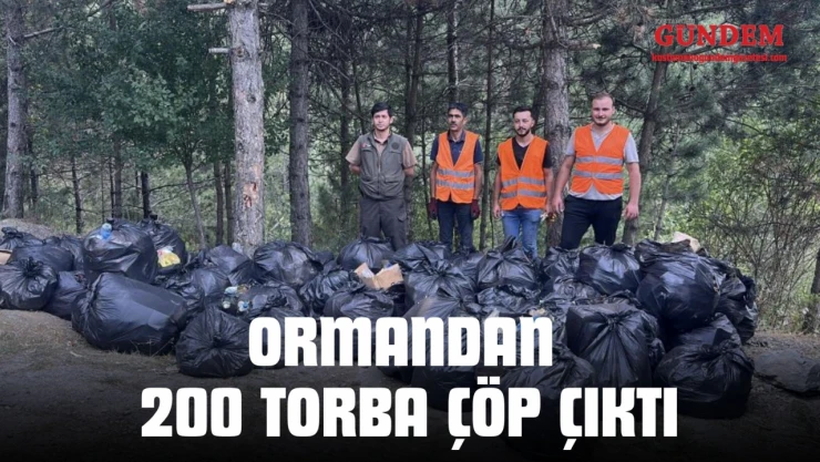 Ormandan 200 Torba Çöp Çıktı