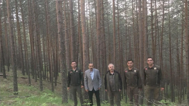 Ormanlar Arasındaki Farkı Gördüler