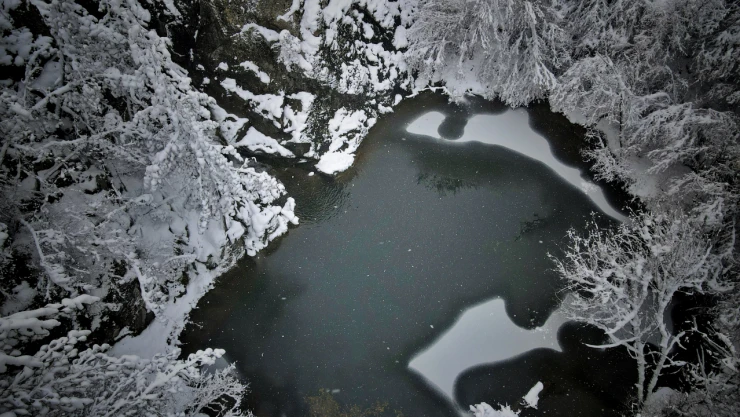 Ormanlar Beyaz Örtüyle Kaplandı