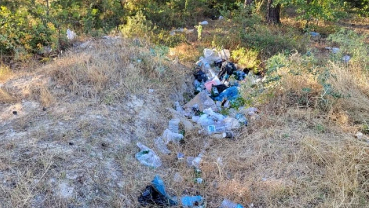 Ormanlardaki Gizli Tehlike!