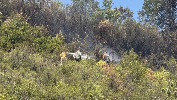 Ormanlık Allanda Çıkan Yangın 2 Saatte Söndürüldü