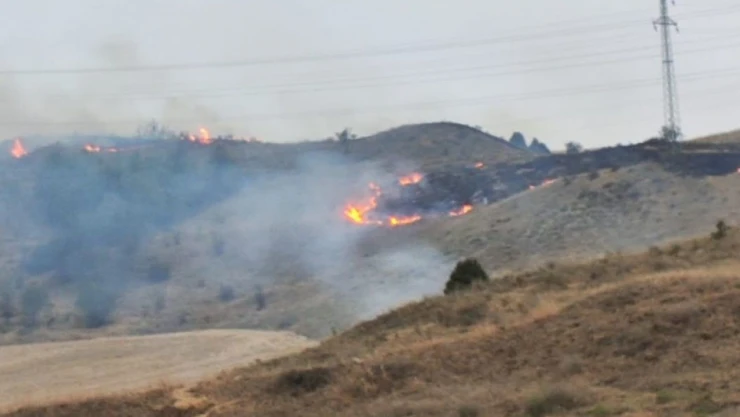 Ormanlık Alanda Yangın!