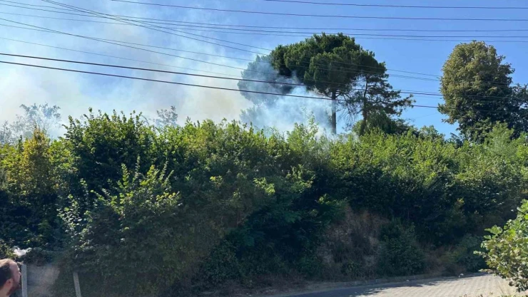 Ormanlık Alanda Çıkan Yangın Korkuttu