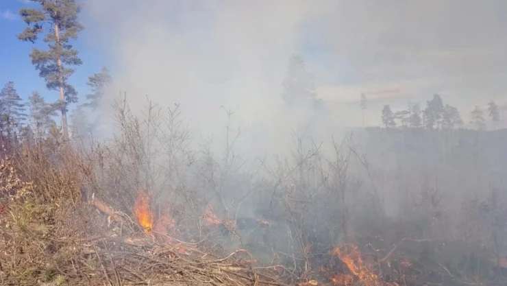 Ormanlık Alanda Çıkan Yangın Söndürüldü