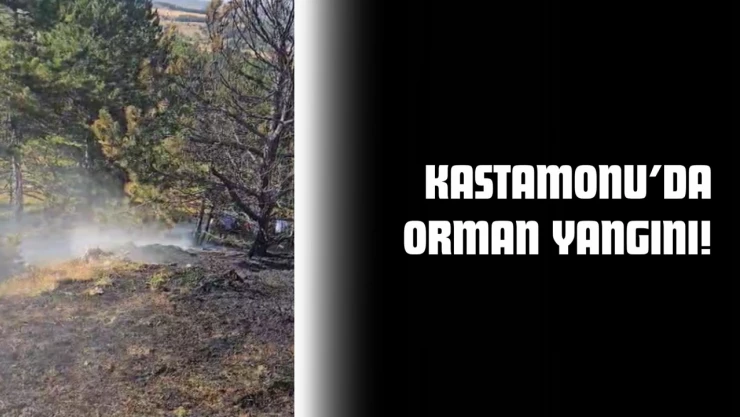 Ormanlık Alanda Yangın