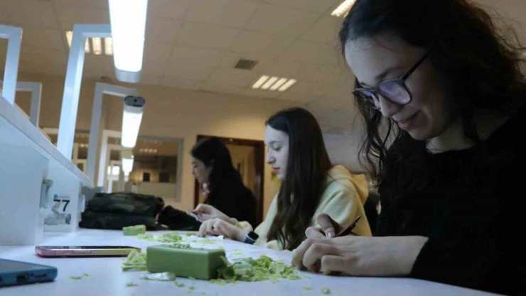 Örnek Proje: Lise Öğrencileri Üniversite Sıralarında